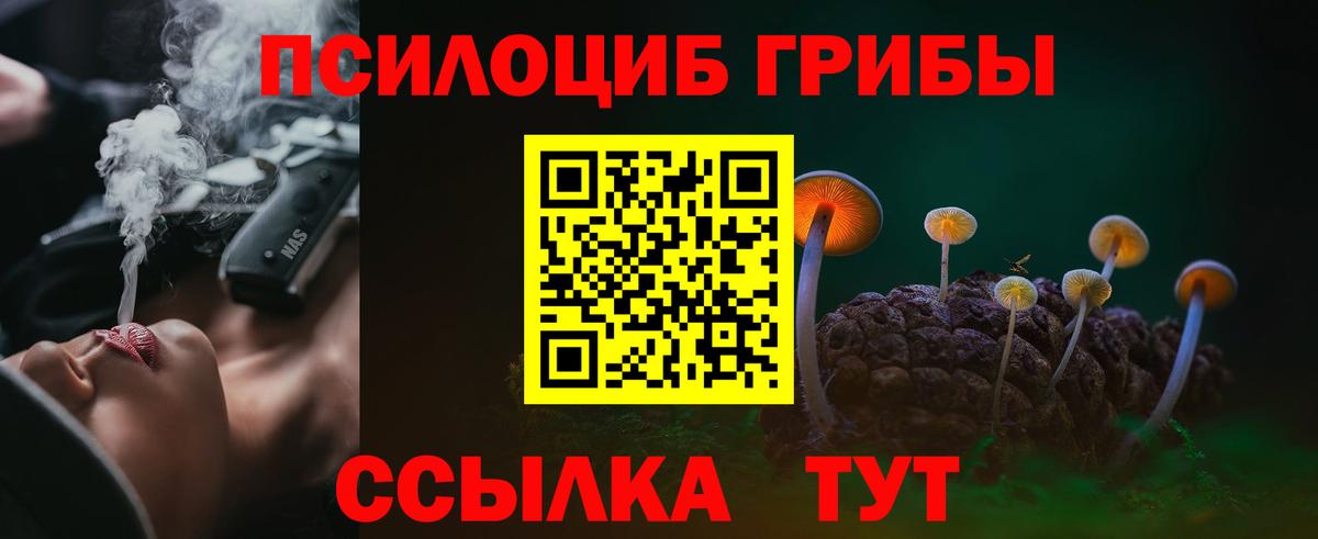 Галлюциногенные грибы прущие грибы  Вход с VPN  Псилоцибиновые грибы мухоморы  Сосновый Бор 